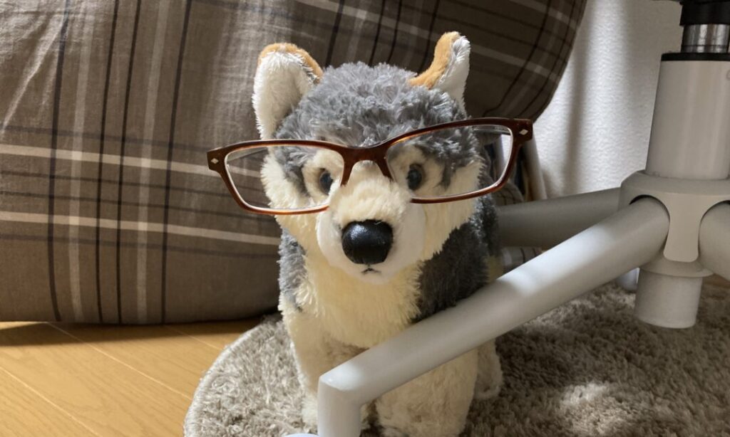 メガネ,眼鏡市場,眼鏡,メガネ犬